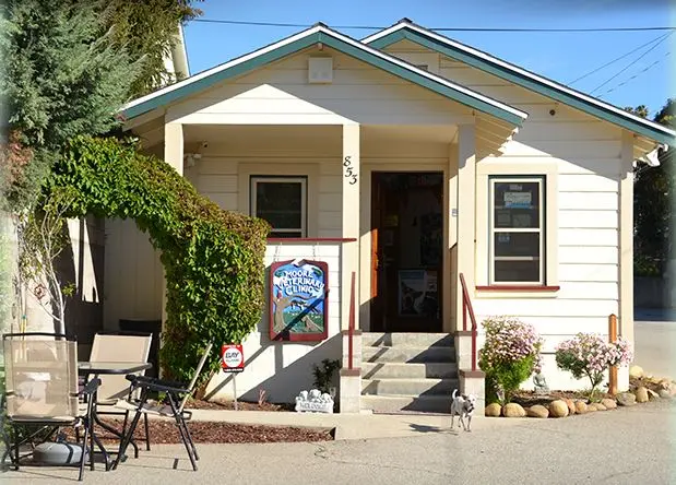 Pet boarding service Moore Veterinary Care Ventura