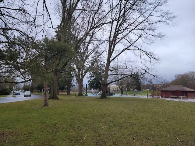 Dog Park Kenton Park Portland