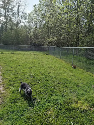 Dog Park North Clackamas Parks & Recreation District Gresham