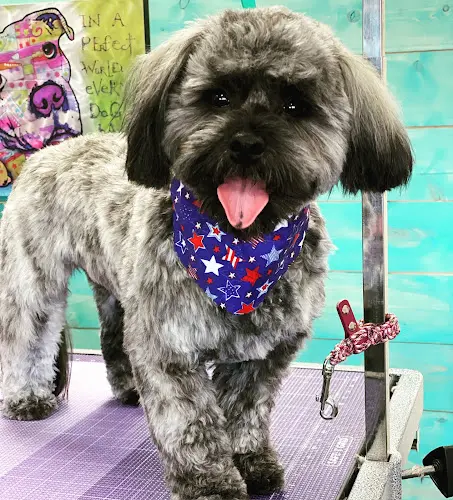 Dog Grooming Posh Paws Grooming Salon Hesperia