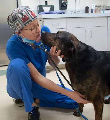 Pet vet Low Cost Spay/Neuter Clinic Santa Rosa