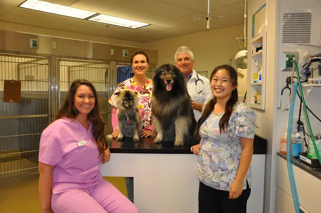 Pet vet VCA Hermosa Animal Hospital Carson