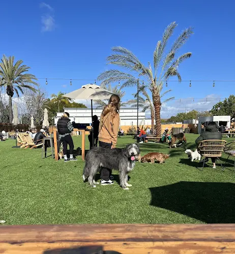Dog Park DOG PPL Santa Monica