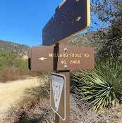 Dog Park Millard canyon Pasadena