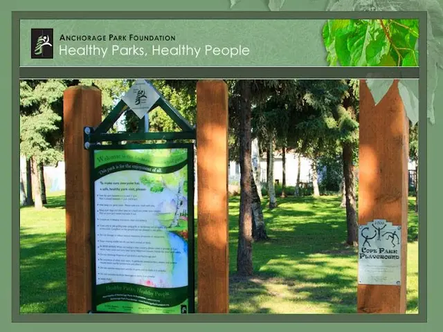 Dog Park Cope Street Park Anchorage