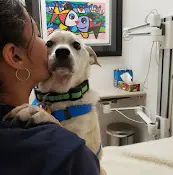 Pet vet Yee Judith DVM Indio