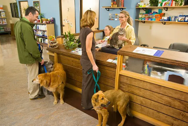 Pet boarding service Northwest Neighborhood Veterinary Hospital Portland