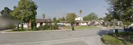 Rescue & Shelter Vanguard Professional Wildlife Animal Removal West Covina