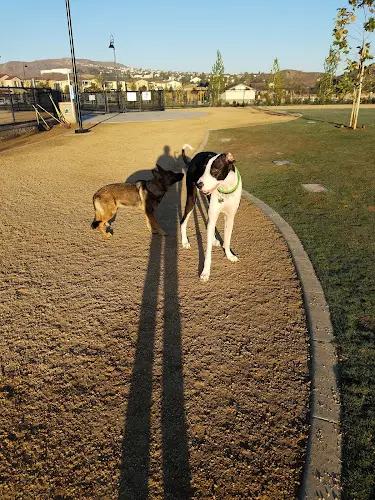Dog Park Chino Hills Dog Park Ontario