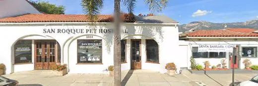Dog breeder Bulldog Puppies For Sale Santa Barbara