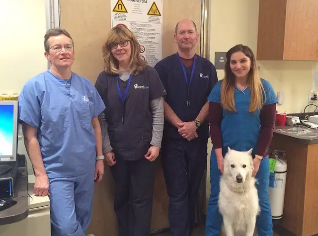 Pet vet AnimalScan San Mateo