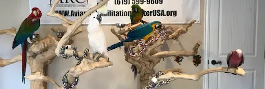 Rescue & Shelter Avian Rehabilitation Center Chula Vista