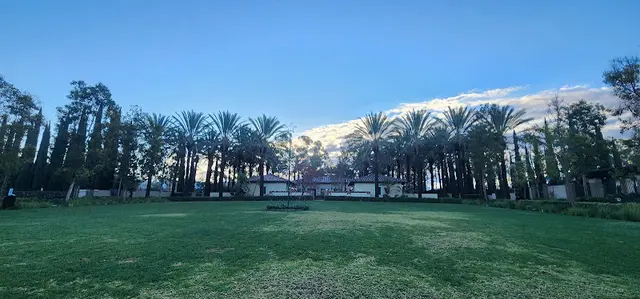 Dog Park Club Park Irvine