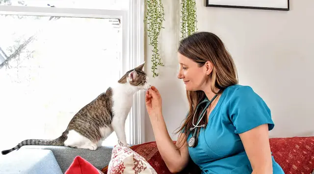 Pet vet Holistika Veterinary Glendale