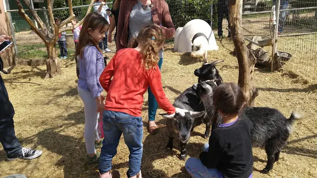 Dog day care center El Camino Ranch San Bernardino