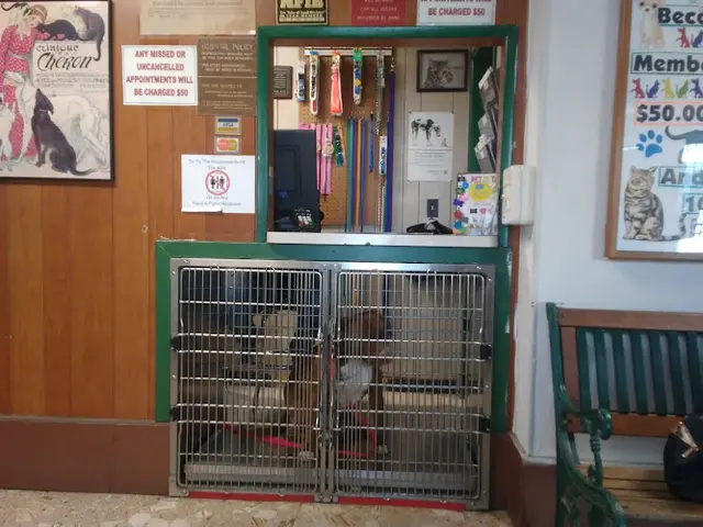 Pet boarding service Kings Canyon Veterinary Foundation 501(c)3 Fresno
