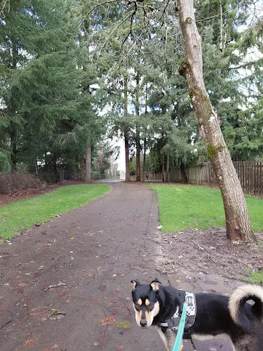 Dog Park Foege Park Hillsboro