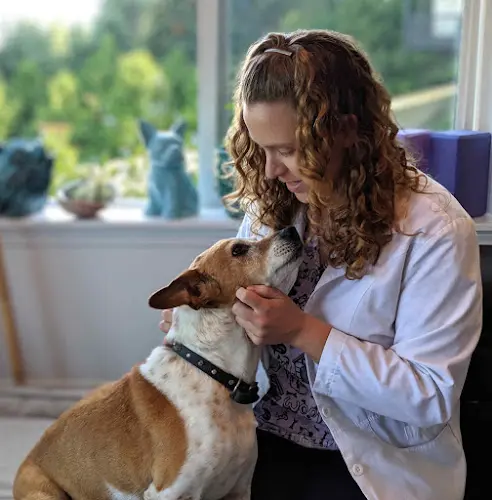 Pet vet Ruff Day Veterinary Services LLC Tacoma