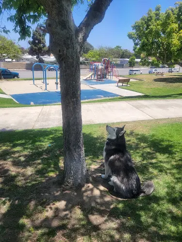 Dog Park Manning Park Huntington Beach