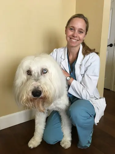 Pet vet Granite Bay Veterinary Clinic Roseville