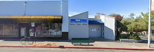 Pet vet VCA Albany Animal Hospital: Reed Thomas B DVM Richmond