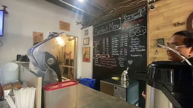 Rescue & Shelter The Cat Cafe San Diego