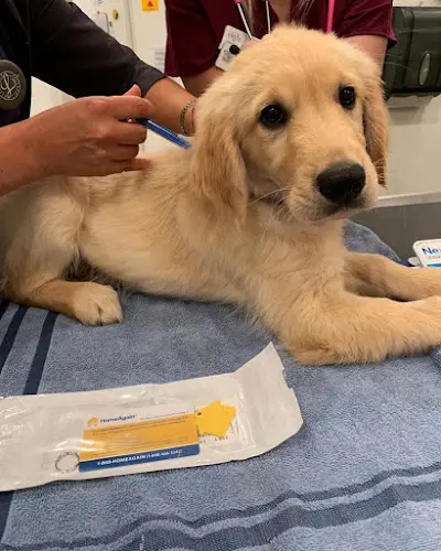 Dog Grooming Pawsh Place | Veterinary Center & Boutique Vacaville