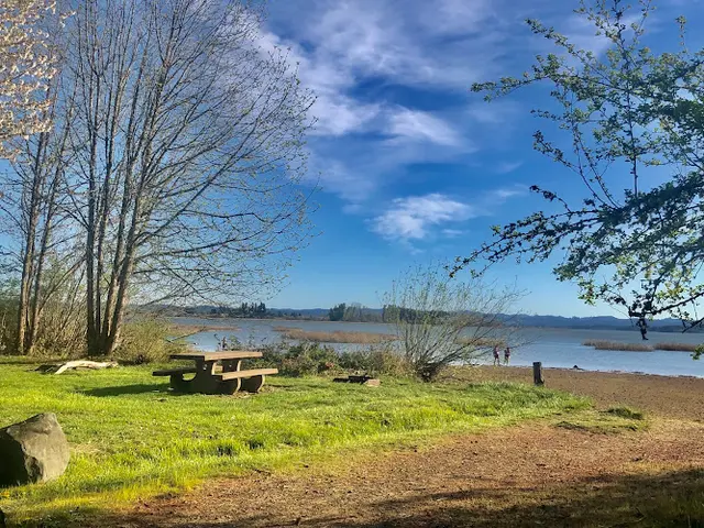 Dog Park Shore Lane Park Eugene