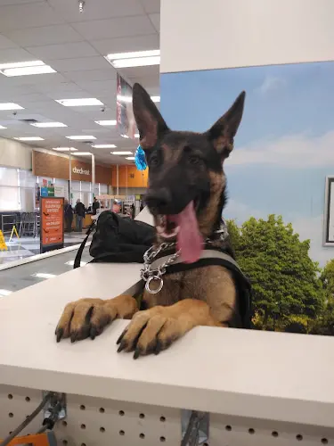 Dog breeder Petco Simi Valley