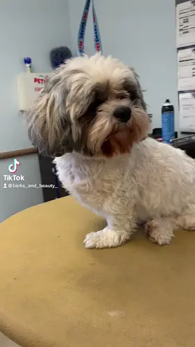 Dog Grooming Barks & Beauty pet salon San Bernardino