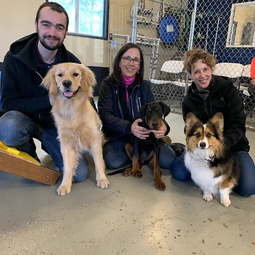 Dog trainer B The Leader Dog Training Eugene