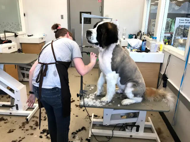 Pet vet PetSmart Gresham