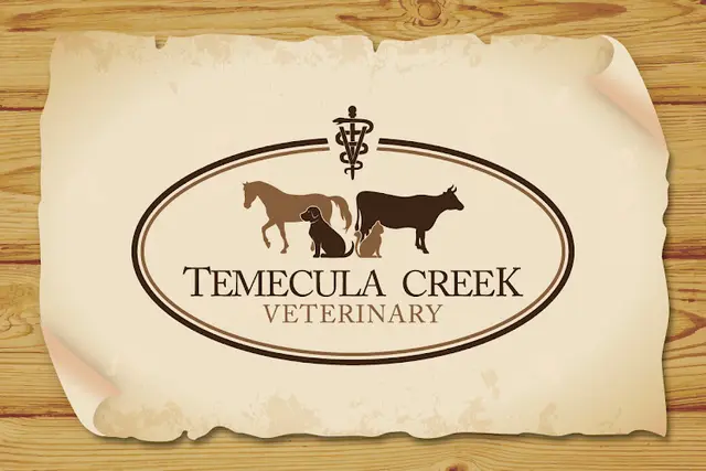 Pet boarding service Temecula Creek Veterinary Temecula
