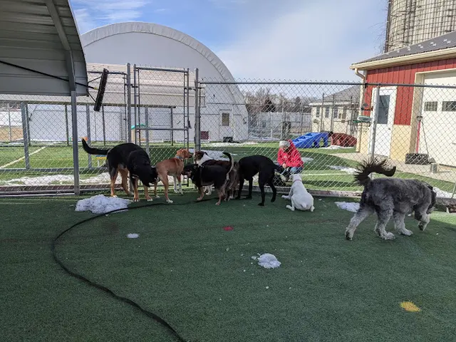 Pet boarding service Oscar's Pet Resort of Greenfield Lancaster