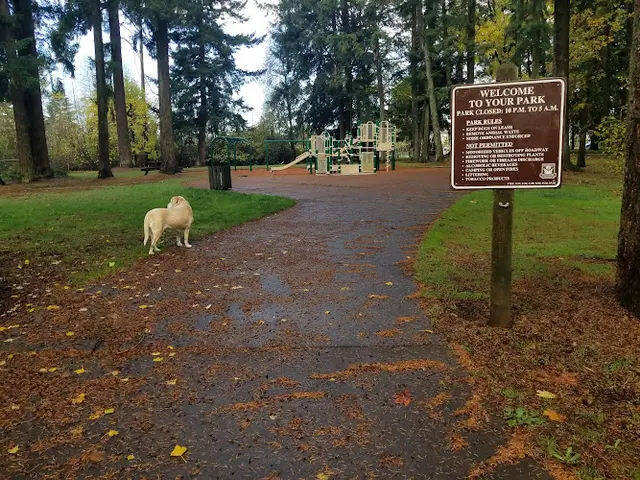 Dog Park Kevanna Park Vancouver