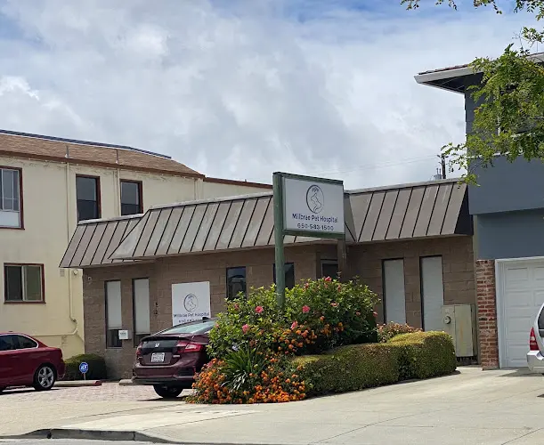 Pet vet Millbrae Pet Hospital San Mateo