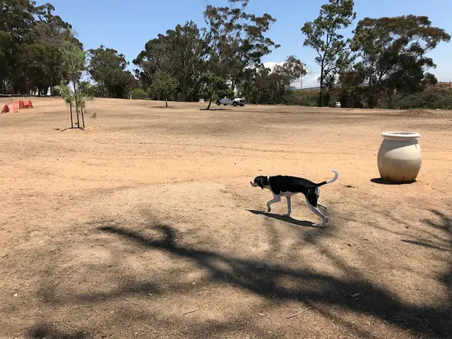 Dog Park Morley Field Dog Park San Diego