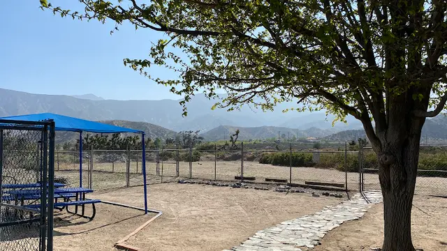 Dog walker Cozy Canine Hesperia