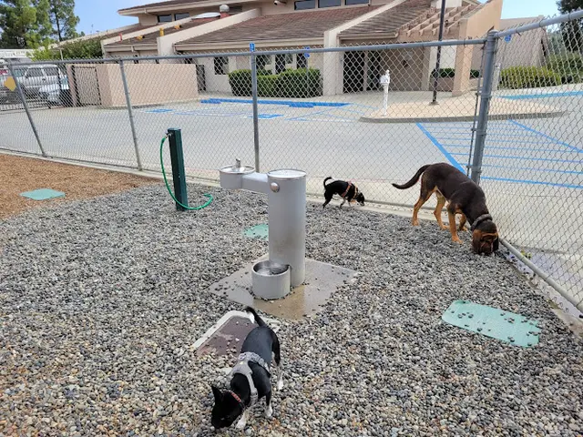 Dog Park Laguna Niguel Pooch Park Irvine