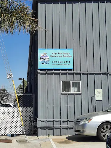 Dog trainer The Grateful Dogs Clubhouse Inglewood