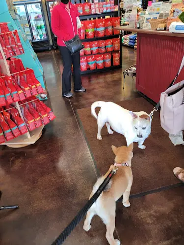 Dog trainer Doggie Bag Roseville