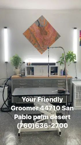 Dog Grooming Your Friendly Groomer Indio