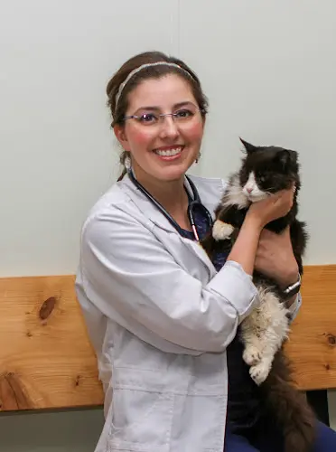 Pet vet Alpine Animal Hospital Sunnyvale