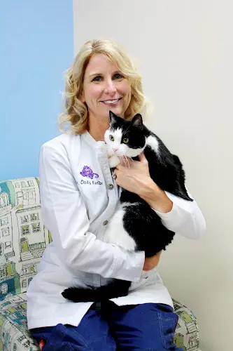 Pet vet Care & Comfort Veterinary Hospital, A Thrive Pet Healthcare Partner Chula Vista