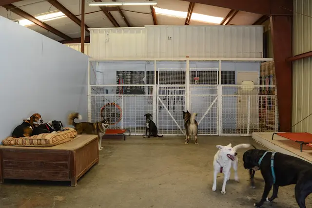 Pet boarding service Almost Home Doggie Day Care Santa Rosa