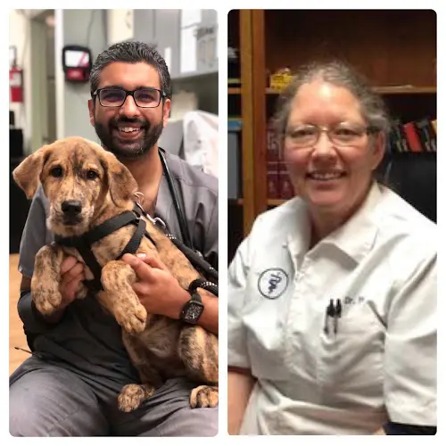 Pet vet Plaza Boulevard Pet Hospital Chula Vista