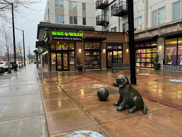 Dog day care center Wag N' Wash Natural Pet Food & Grooming Seattle