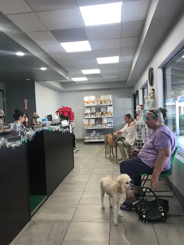 Pet vet Bonita Pet Care Animal Hospital Chula Vista