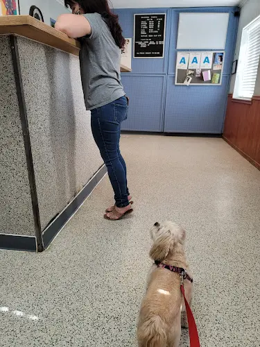 Dog day care center Canine Country Club Lancaster