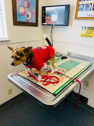 Pet boarding service Tail Wag Inn Veterinary Hospital and Boarding Kennel Antioch